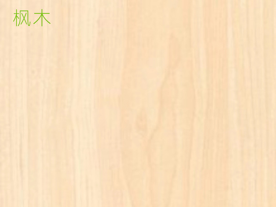 枫木运动地板